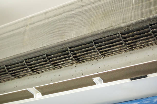 Best Professional Duct Cleaning Services  in Vinings, GA